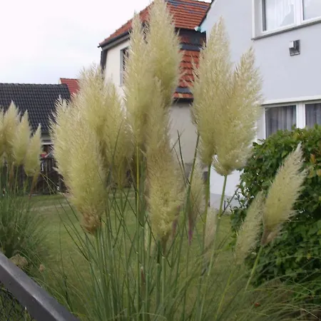Holiday home Haus Frieda Koserow
